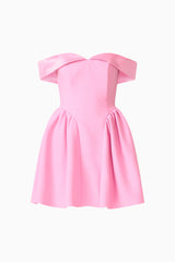 Amelina Off Shoulder Mini Dress in Pink