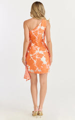 Brailey Mini Dress