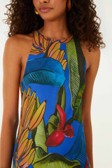 Blue Banana Grapes Sleeveless Maxi Dress