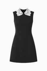 Elysia Lace Collar Mini Dress in Black
