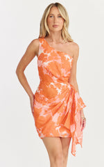 Brailey Mini Dress