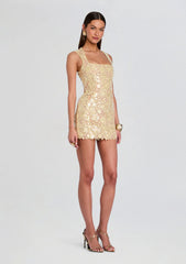 Elainy Sequin Lace Dress